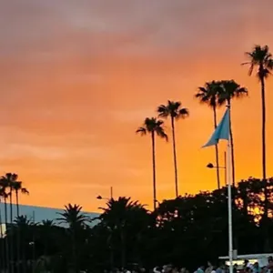 https://residence-le-ponant-cannes-centre.fr-provencehotel.com